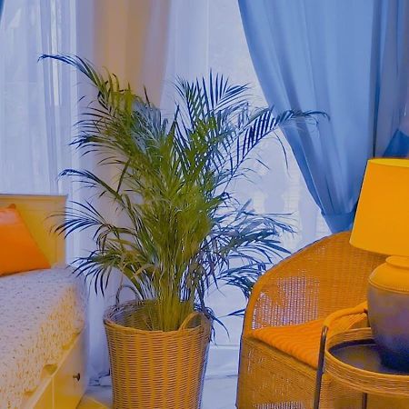 בודווה Apartament - Lisa מראה חיצוני תמונה