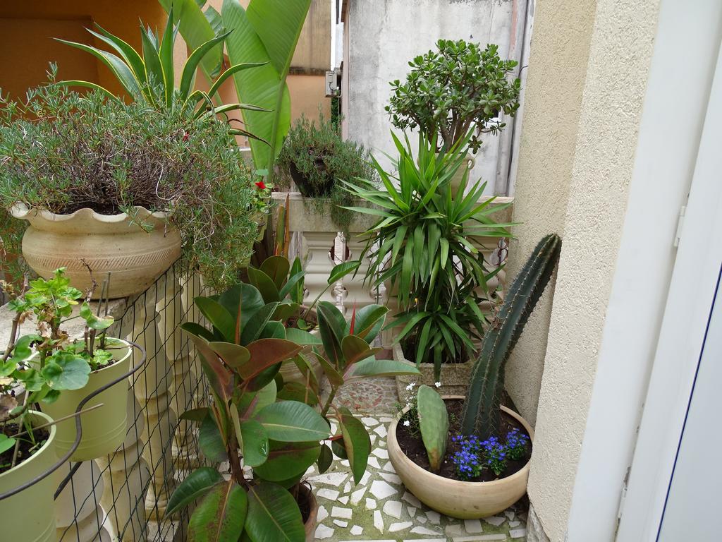בודווה Apartament - Lisa מראה חיצוני תמונה